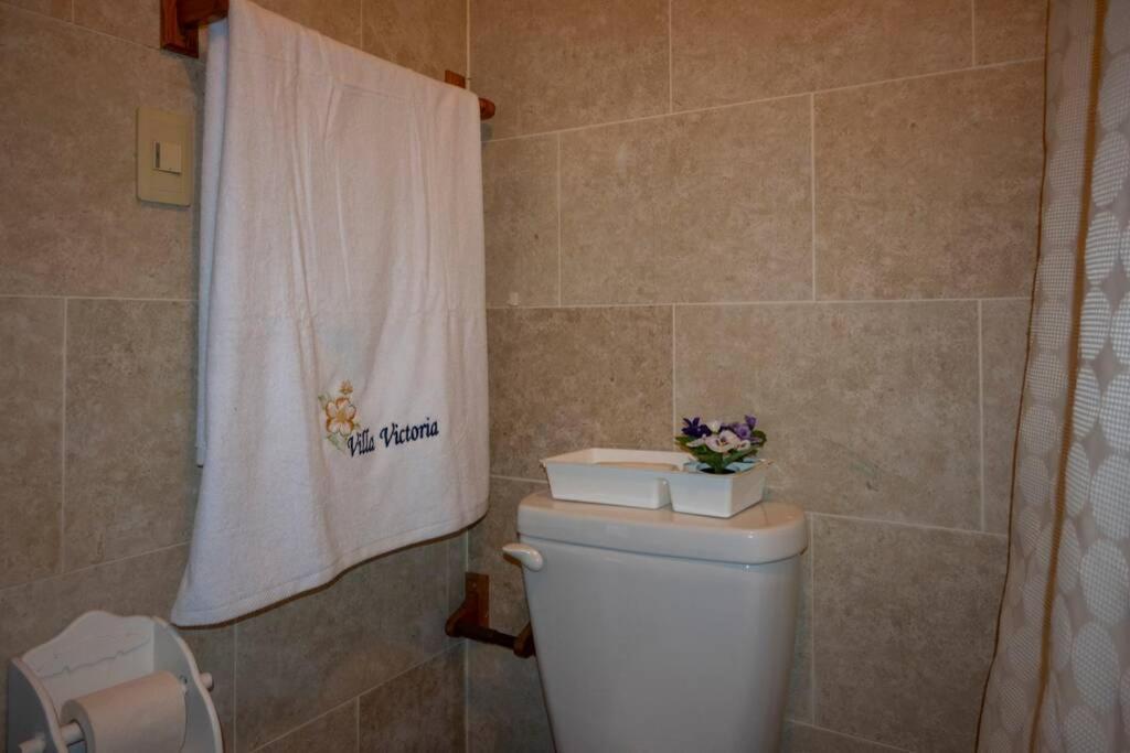 Villa Victoria Jarabacoa Kültér fotó