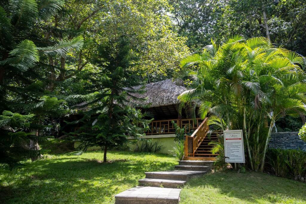 Villa Victoria Jarabacoa Kültér fotó